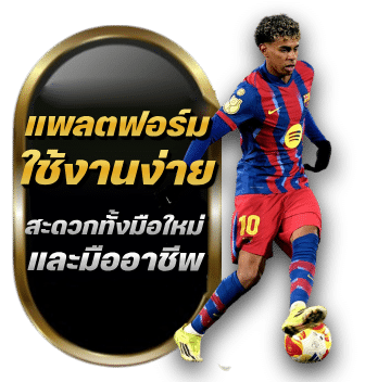 แพลตฟอร์มใช้งานง่าย สะดวกทั้งมือใหม่และมืออาชีพ